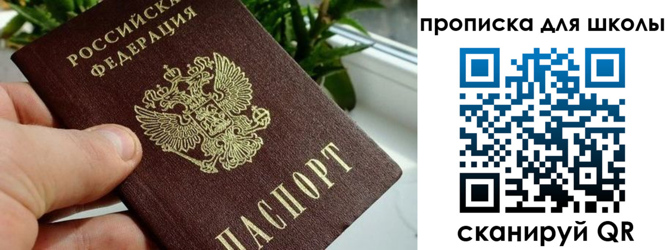 регистрация для дет. сада в Боровичах